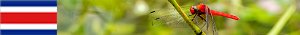 http://costarica21.nstx.ch