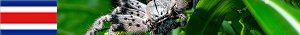 http://costarica21.nstx.ch