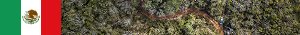 http://mexico21.nstx.ch