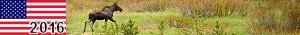 http://usa16.nstx.ch