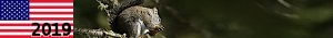 http://usa19.nstx.ch