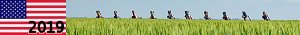 http://usa19.nstx.ch