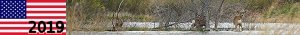 http://usa19.nstx.ch