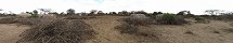 Village Massa abandonn prs de Namanga (Parc national d'Amboseli, Kenya)