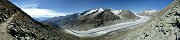 Le glacier d'Aletsch depuis le Bettmerhorn (Canton du Valais, Suisse)