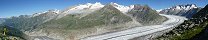 Le glacier d'Aletsch depuis le Bettmerhorn (Canton du Valais, Suisse)