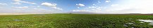 Oasis in Amboseli National Park (Kenya)