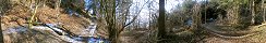 Forest trail near Arzl (Tyrol, Austria)