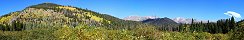 Trembles depuis la route de Trail Ridge (Parc national de Rocky Mountain, Colorado, Etats-Unis)