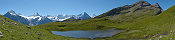 Le Wetterhorn, le Schreckhorn, le Fiescherhorn, l'Eiger et la Jungfrau (Depuis le Bachsee, Oberland bernois, Suisse)