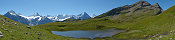 Wetterhorn, Schreckhorn, Fiescherhorn, Eiger and Jungfrau (From Bachsee, Berner Oberland, Switzerland)