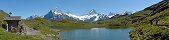 Le Wetterhorn, le Schreckhorn et le Fiescherhorn (Depuis le Bachsee, Oberland bernois, Suisse)