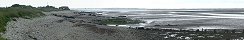 La baie des Veys par temps gris (Calvados, France)