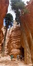 Le sentier Navajo Loop à Bryce Canyon (Utah, Etats-Unis)