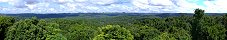 Tree Tops from Caracol Mayan Archaeological Site (Belize)