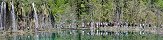 Bus Arrival at Milanovacki Waterfall (Plitvice Lakes National Park, Croatia)