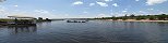 Elphants dans le parc national de Chobe (Botswana)