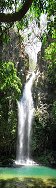 Chute la Cangreja dans la fort tropicale (Parc national Ricon de la Vieja, Costa Rica)