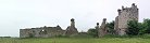 Cigognes sur les ruines du chteau de la Rivire (Saint-Fromond, Manche, France)