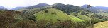 Le parc national de Cocora prs de Salento (Colombie)