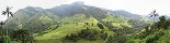 Le parc national de Cocora prs de Salento (Colombie)