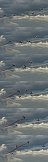 Four Planes Crossing of the French Acrobatic Patrol (La Fert-Alais, Essonne, France)