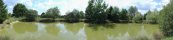 Etang priv prs de Montargis (Loiret, France)