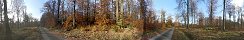 Automne en fort d'Ecouves  Saint-Nicolas-des-Bois (Orne, France)