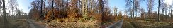 Autumn in Ecouves Forest in Saint-Nicolas-des-Bois (Orne, France)