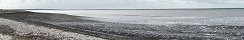 Seagulls on G�fosse-Fontenay Beach (Calvados, France)