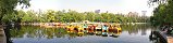 Paddle Boats in Green Lake Park (Kunming, China)