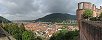 Heidelberg depuis le chteau (Allemagne)