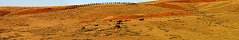 Buffalo Pasture in Hot Springs State Park (Thermopolis, Wyoming, USA)