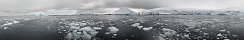 Growlers, icebergs et banquise  Port Foyn (Pninsule Antarctique)