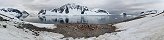 Gentoo colony, Danco Island (Antarctic Peninsula)