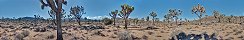 Juniper Flats dans le parc national de Joshua Tree (Californie, Etats-Unis)