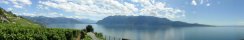 Lac Léman depuis Epesses (Près de Lausanne, Suisse)