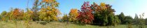 Arbres en automne prs de Louka u Litvinova (Rpublique tchque)