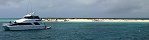 Michaelmas Cay, grande barrire de corail (Queensland, Australie)
