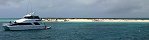 Michaelmas Cay, grande barrire de corail (Queensland, Australie)