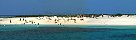 Michaelmas Cay, Great Barrier Reef (Queensland, Australia)