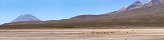 Le volcan Misti et des vigognes (Prou)
