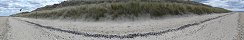 Mussel Shells on Sainte-Marie-du-Mont Beach (Calvados, France)