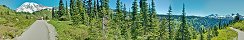 Mount Rainier from National Park (Washington, USA)