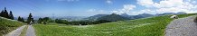 Narcissus Fields near Les Pliades (Canton of Vaud, Switzerland)