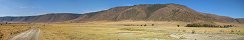 Zbres et oasis dans le cratre de Ngorongoro (Aire de conservation du Ngorongoro, Tanzanie)