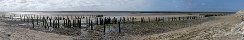 Old Groynes and Oyster Beds (Grandcamp-Maisy, Calvados, France)