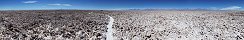 Salar de Atacama près de Laguna Chaxa (Chili)