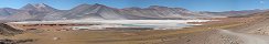 Salar de Talar in Atacama Desert (Chile)