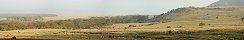 Antilopes et babouins dans la savane prs du lac Nakuru (Kenya)